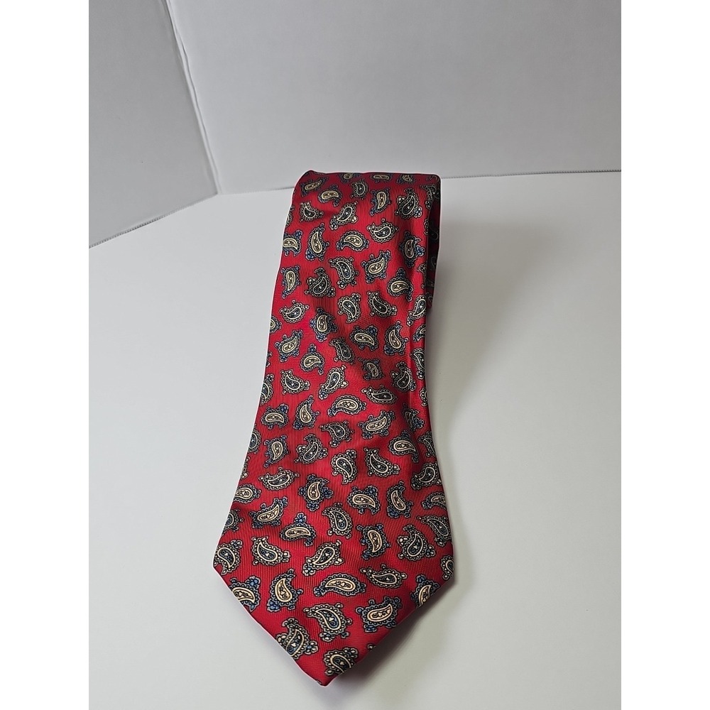 Carl Michaels 100% Silk Men's Neck Tie Classic Paisley Italian